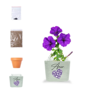 Cargar imagen en el visor de la galería, Maceta Lino Personalizable + Kit Semillas Petunia (disponible en 3 colores)