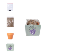 Cargar imagen en el visor de la galería, Maceta Lino Personalizable + Kit Semillas Petunia (disponible en 3 colores)