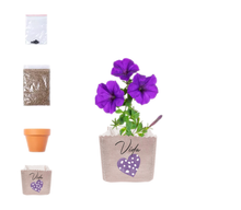 Cargar imagen en el visor de la galería, Maceta Lino Personalizable + Kit Semillas Petunia (disponible en 3 colores)
