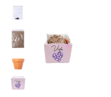 Cargar imagen en el visor de la galería, Maceta Lino Personalizable + Kit Semillas Petunia (disponible en 3 colores)